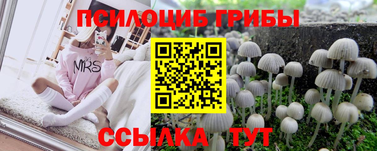 Галлюциногенные грибы мицелий  Вход с VPN  Саяногорск 