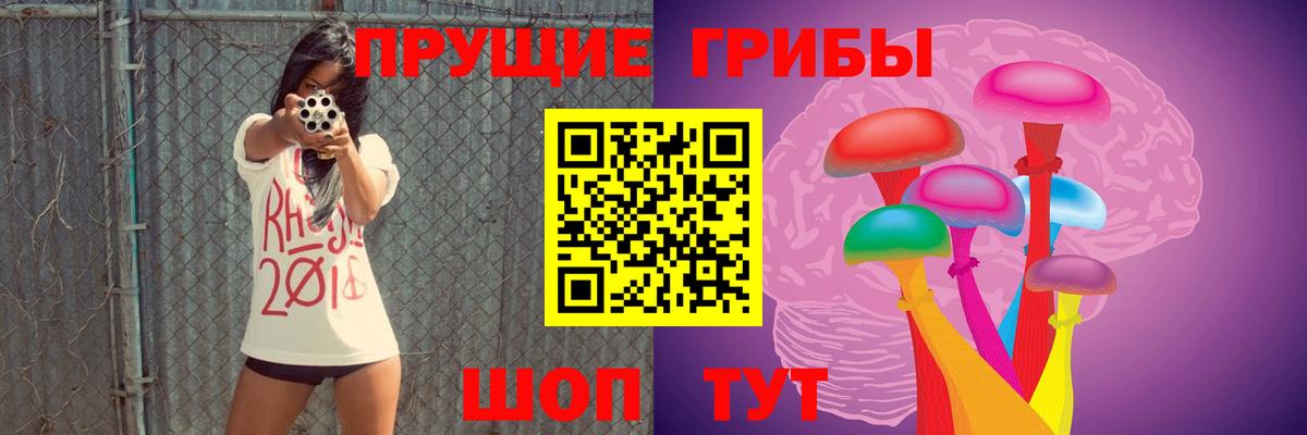 Галлюциногенные грибы прущие грибы Саяногорск